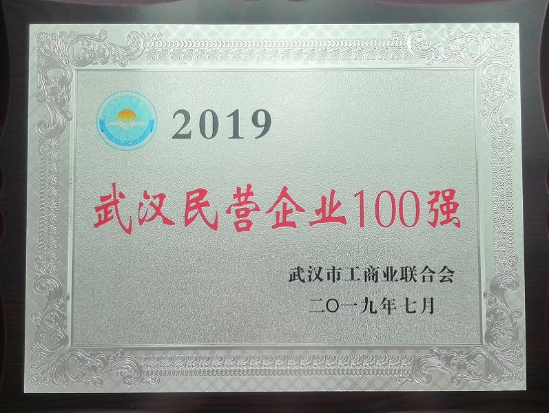 2019年武漢民營(yíng)企業(yè)100強(qiáng)