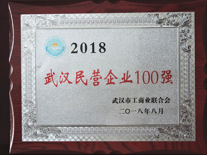 2018年武漢民營(yíng)企業(yè)100強(qiáng)