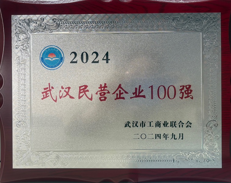 喜訊！我司連續(xù)七年入選湖北省武漢市民營百強榜